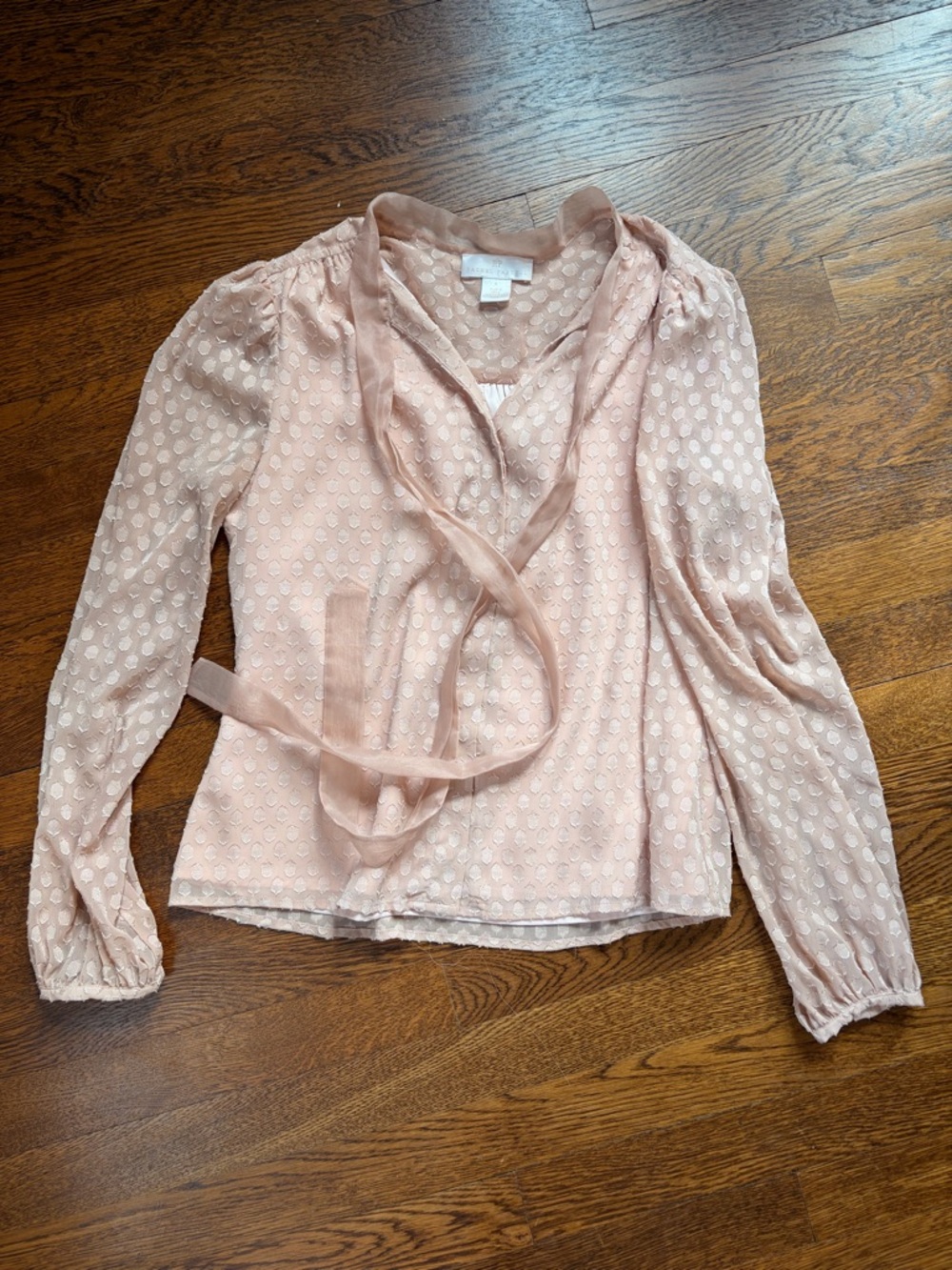 Rachel Parcell Blush Pink Swiss Dot Tie-Neck Blouse